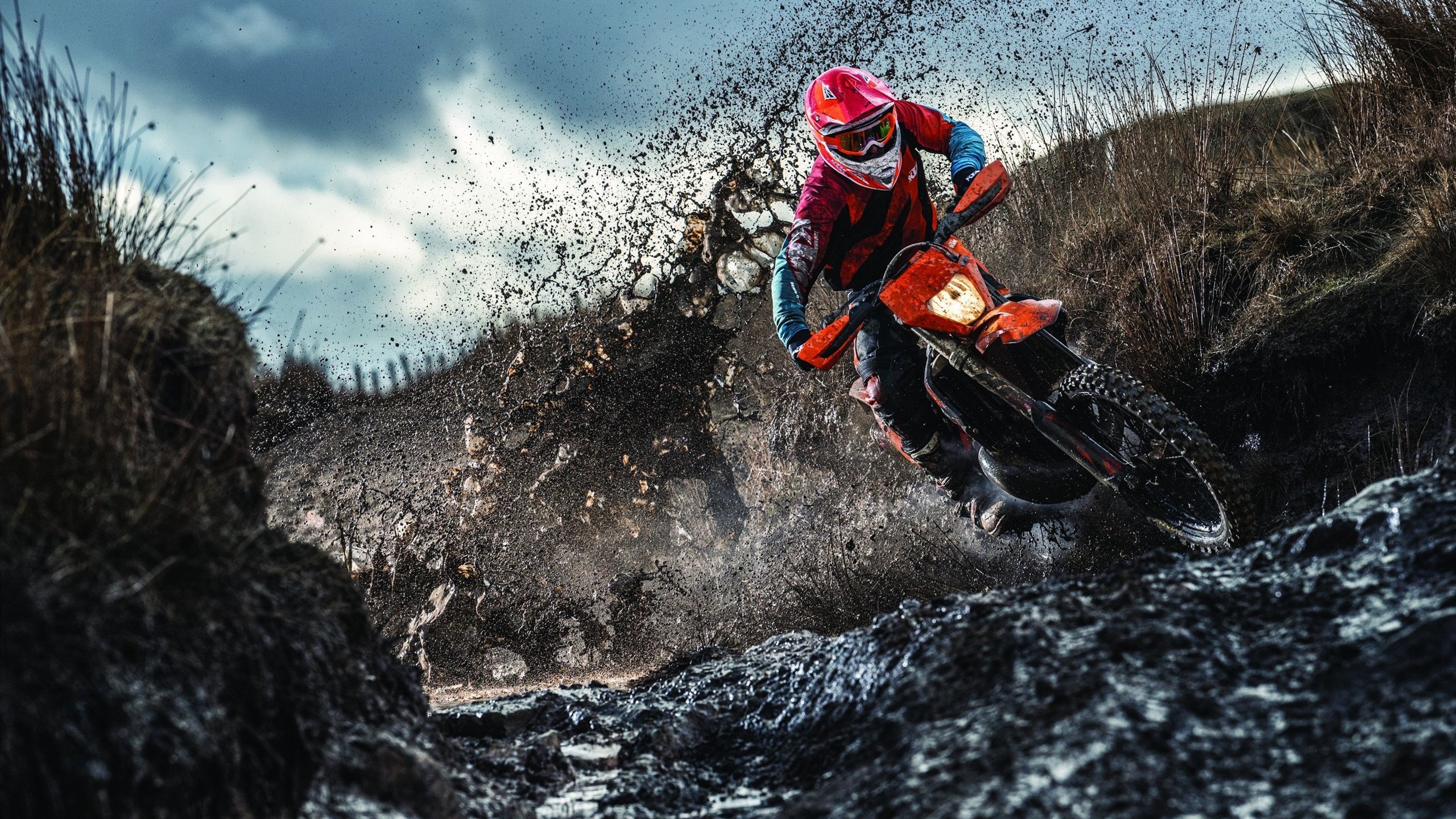 赛道与球场，当F1引擎轰鸣遇见武切维奇的连续得分