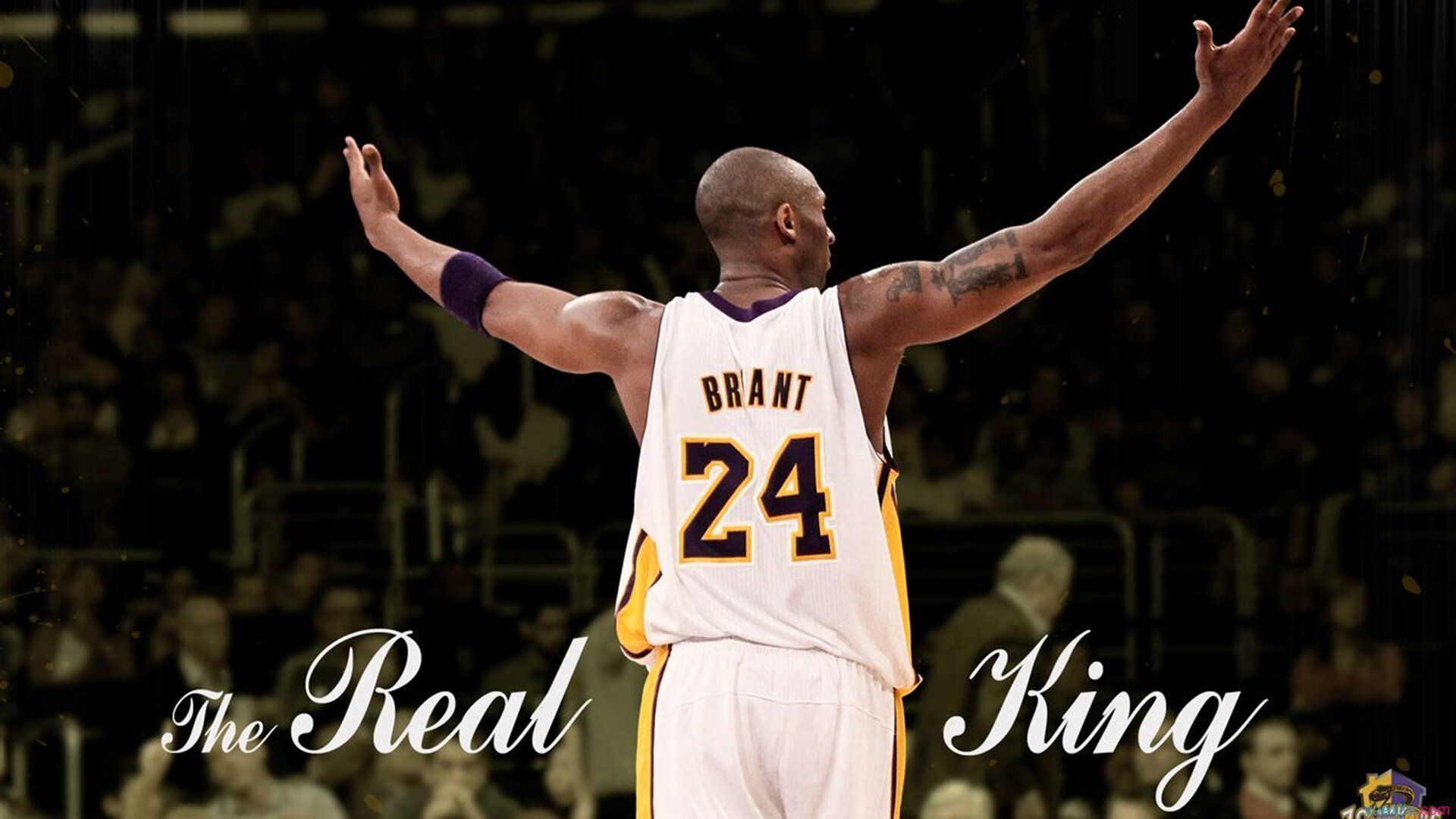 红土神话的独白，当蒙特卡洛的阳光遇见联合杯的星辉，唯有纳达尔统治了时间的边界